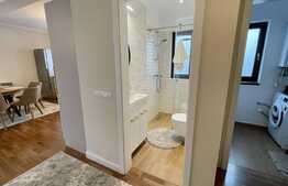 Duplex, 120 mp, 250 mp teren, 5 camere, totul nou, zona VIVO