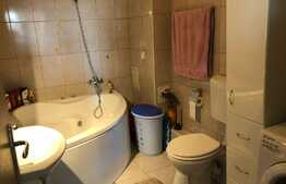 Apartament de 2 camere, garaj subteran, in vila, zona de case a Gheorgheniului!