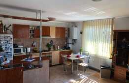 Apartament de 2 camere, garaj subteran, in vila, zona de case a Gheorgheniului!