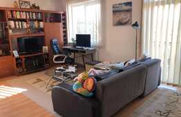 Apartament de 2 camere, garaj subteran, in vila, zona de case a Gheorgheniului!