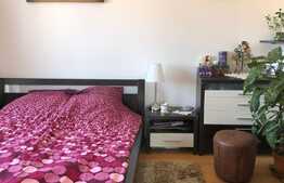 Apartament de 2 camere, garaj subteran, in vila, zona de case a Gheorgheniului!