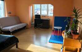 Apartament 46 mp utili, etaj intermediar, zona Parcului Central!