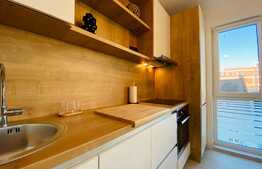 Apartament superb, 40 mp, prima inchiriere, garaj, zona Piata Abator