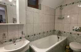 Apartament cu 2 camere, decomandat, A.C, 55 mp, zona strazii Oltului