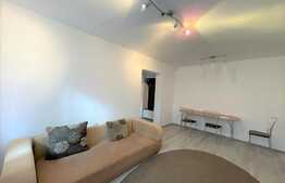 Apartament 3 camere, 58 mp, pet friendly, zona Eremia Grigorescu 