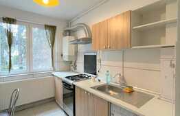 Apartament 3 camere, 58 mp, pet friendly, zona Eremia Grigorescu 