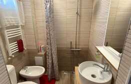 Garsoniera moderna, 24 mp, zona Iulius Mall