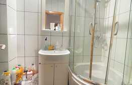 Apartament 2 camere, 60 mp, pet friendly, zona strazii Dambovitei