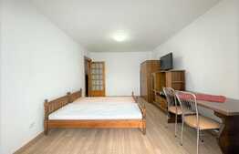 Apartament 2 camere, 60 mp, pet friendly, zona strazii Dambovitei