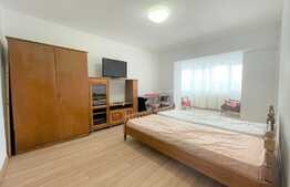 Apartament 2 camere, 60 mp, pet friendly, zona strazii Dambovitei