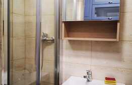 Apartament de 2 camere, etaj intermediar, 39 mp, zona Gemenii