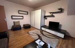 Apartament 2 camere decomandate, 56 mp, parcare, zona Muzeul Apei! 