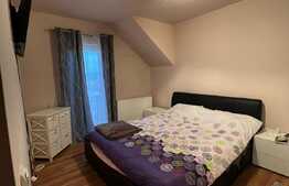 Apartament 2 camere decomandate, 56 mp, parcare, zona Muzeul Apei! 