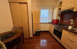 Apartament 2 camere decomandate, 56 mp, parcare, zona Muzeul Apei! 