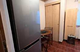 Apartament 2 camere decomandate, 56 mp, parcare, zona Muzeul Apei! 