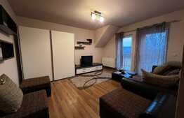 Apartament 2 camere decomandate, 56 mp, parcare, zona Muzeul Apei! 