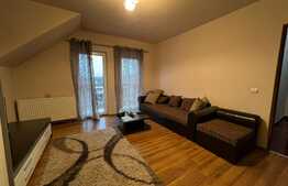 Apartament 2 camere decomandate, 56 mp, parcare, zona Muzeul Apei! 