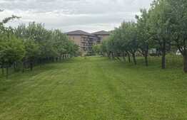 Teren intravilan de 2465 mp, zona Borhanci 