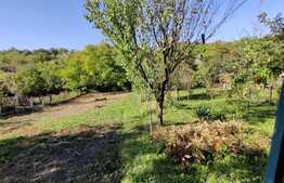 De vanzare casa individuala,70 mp utili,1360 mp teren,zona linistita, Cojocna