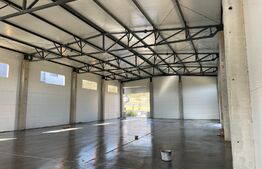 Hala noua de inchiriat, 590 mp, teren 1682 mp, Apahida