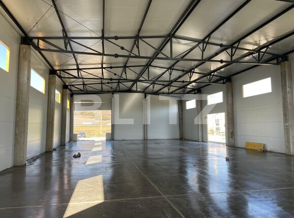 Spațiu industrial de închiriat Apahida - 78756SII | BLITZ Cluj-Napoca | Poza1