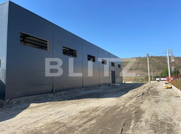 Spațiu industrial de închiriat Apahida - 78756SII | BLITZ Cluj-Napoca | Poza6