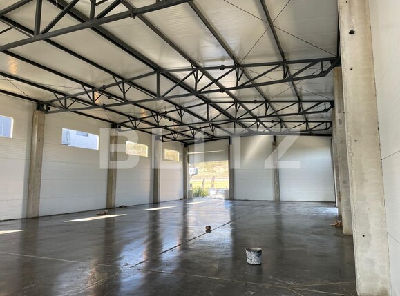 Spațiu industrial de închiriat Apahida - 78756SII | BLITZ Cluj-Napoca | Poza2