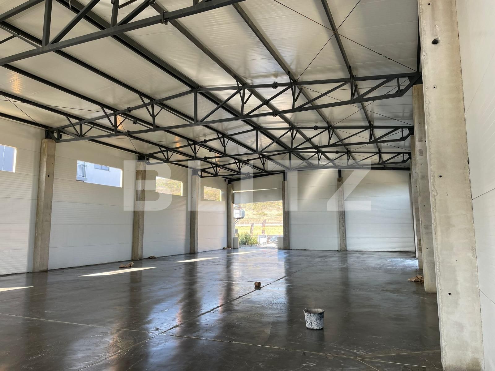 Spațiu industrial de închiriat Apahida - 78756SII | BLITZ Cluj-Napoca | Poza2