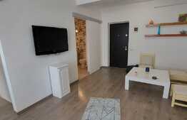 Apartament de 2 camere, balcon spatios! Zona Terra!