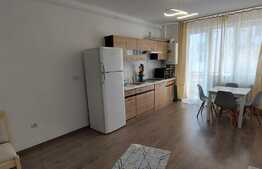 Apartament de 2 camere, balcon spatios! Zona Terra!