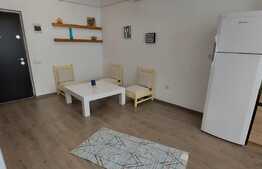 Apartament de 2 camere, balcon spatios! Zona Terra!