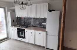 Apartament de 2 camere, etaj intermediar, finisat, mobilat, Petrom, Baciu