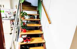 RARITATE! Garsoniera 20 mp plus dormitor tip mezanin, curte, zona Piata Avram Iancu