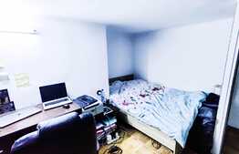 RARITATE! Garsoniera 20 mp plus dormitor tip mezanin, curte, zona Piata Avram Iancu