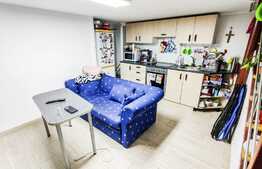 RARITATE! Garsoniera 20 mp plus dormitor tip mezanin, curte, zona Piata Avram Iancu