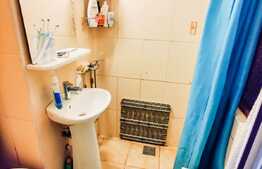 RARITATE! Garsoniera 20 mp plus dormitor tip mezanin, curte, zona Piata Avram Iancu