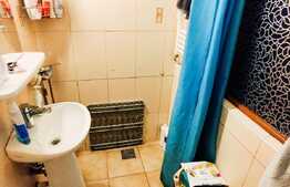 RARITATE! Garsoniera 20 mp plus dormitor tip mezanin, curte, zona Piata Avram Iancu