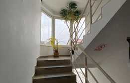 Vila individuala, 8 camere, 430 mp, curte de 1100 mp, zona Buna Ziua