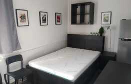 Garsoniera decomandata, 28 mp, pet friendly, zona strazii Rapsodiei