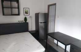 Garsoniera decomandata, 28 mp, pet friendly, zona strazii Rapsodiei