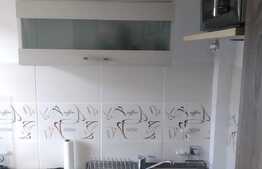 Garsoniera decomandata, 28 mp, pet friendly, zona strazii Rapsodiei