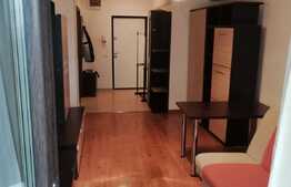 Garsoniera de 46 mp, decomandata, zona FSEGA