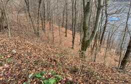 Oportunitate! Teren intravilan cu autorizatie constructie ,1000 mp, cu acces lac Tarnita, panorama!