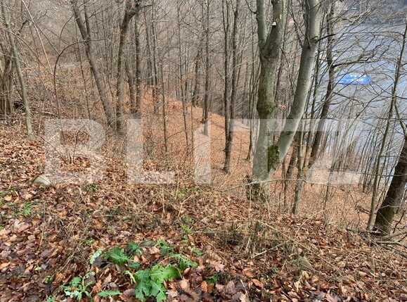 Teren de vânzare Exterior Vest - 78874TV | BLITZ Cluj-Napoca | Poza4