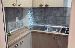 Garsoniera semicentrala, 23 mp, renovata recent