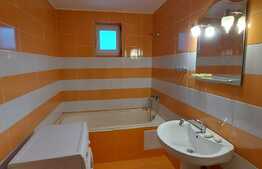 Apartament 2 camere, 41 mp, investitie, zona Vivo