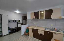 Apartament 2 camere, 41 mp, investitie, zona Vivo