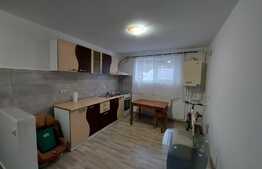 Apartament 2 camere, 41 mp, investitie, zona Vivo