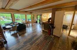 Cabana cu piscina de vanzare, 1000 mp teren, 250 mp utili, zona Baisoara