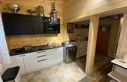 Cabana cu piscina de vanzare, 1000 mp teren, 250 mp utili, zona Baisoara